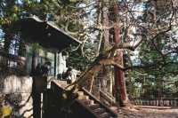 Explore Nikko in a Day with Tobu Pass