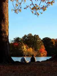 Experience the Golden Autumn at Prospect Park