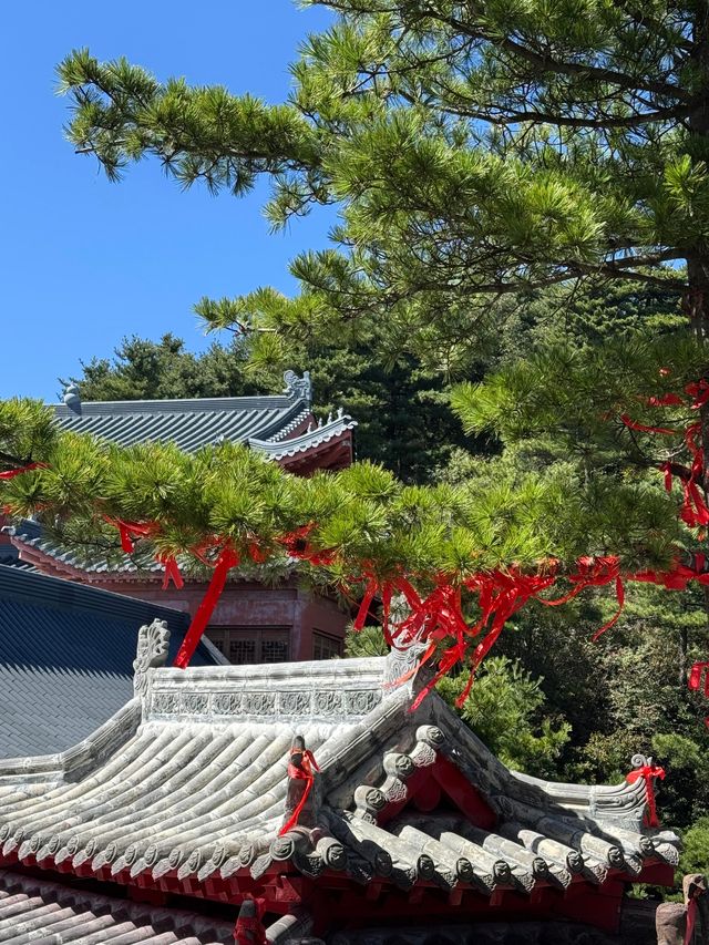 商洛天竺山國家森林公園|休閒旅遊的絕佳好去處。