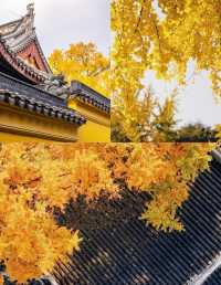 12月一定要來蘇州定慧寺，不然真的後悔。