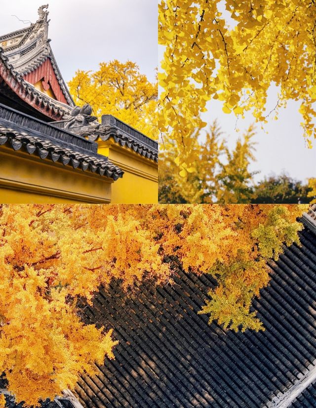 12月一定要來蘇州定慧寺，不然真的後悔。