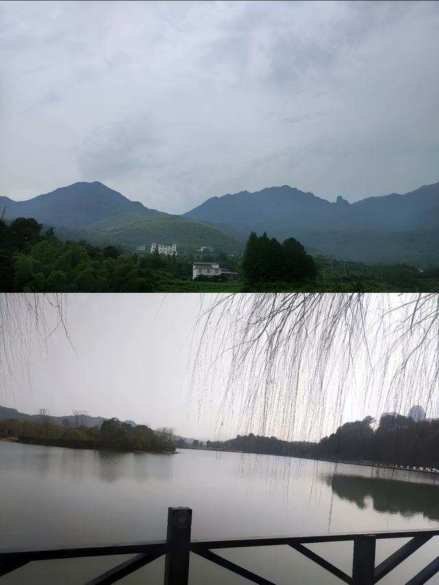 鷹潭酒店性價比之王～格林東方。