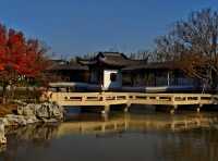 打卡濱江森林公園滈園