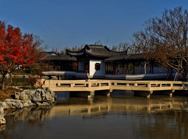 打卡濱江森林公園滈園