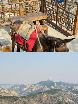 Jinzhou Qingyan Temple: A 1,407-step pilgrimage
