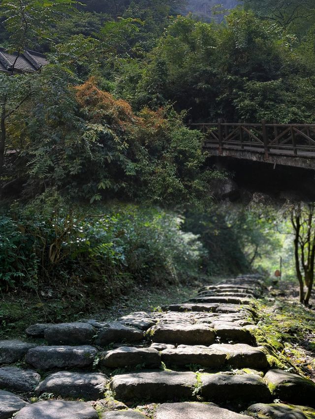 衢州·藥王山｜探秘神農秘境，暢享自然瑰寶