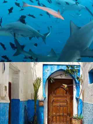 モルディブのおすすめ完全ガイド2025年（11月更新）| Trip Moments