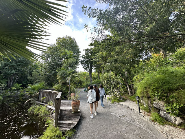 大島上的小植物園，人氣秘境