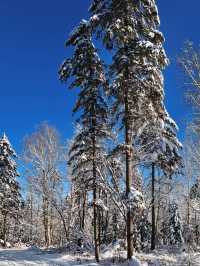 2日暢遊雪鄉等地 真溫泉洗禮心靈不踩坑