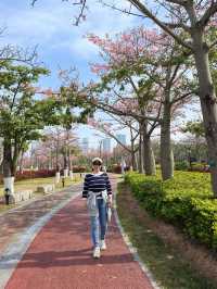 珠海花海長廊遛娃之旅