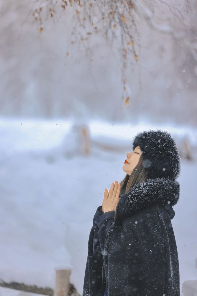 新疆禾木｜落雪成詩，芳華盡收
