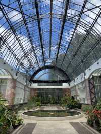 Discover Auckland's Domain Wintergardens: A Free Floral Escape
