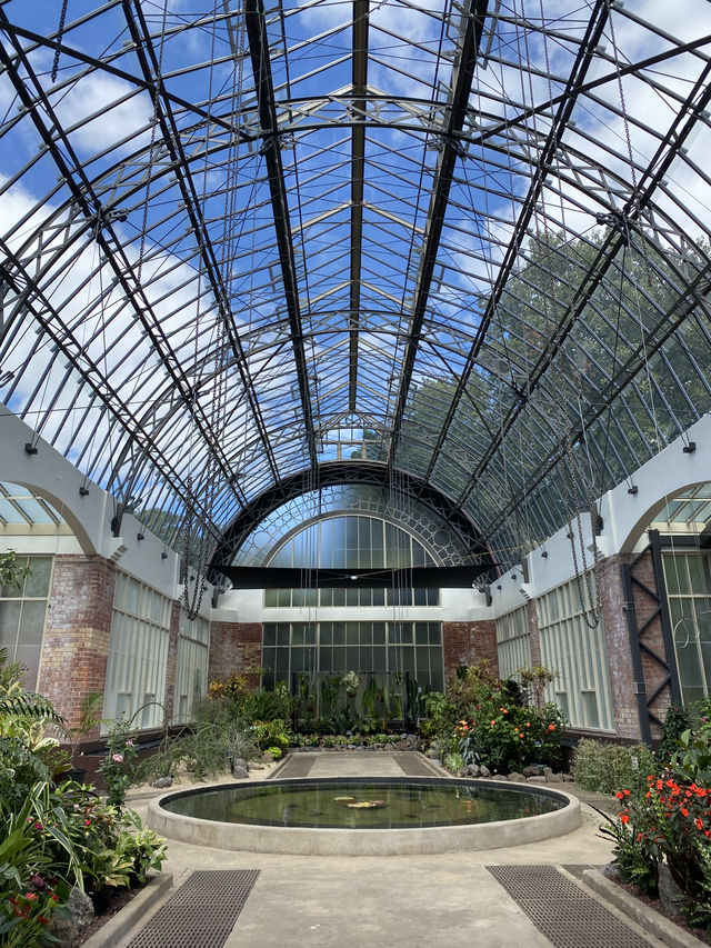 Discover Auckland's Domain Wintergardens: A Free Floral Escape