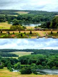 Explore the Charm of Harewood House