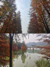 圭峰山：半城煙火半城仙的人間仙境