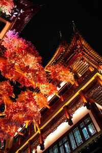 《霓虹與飛簷：魔都72小時奇遇記》