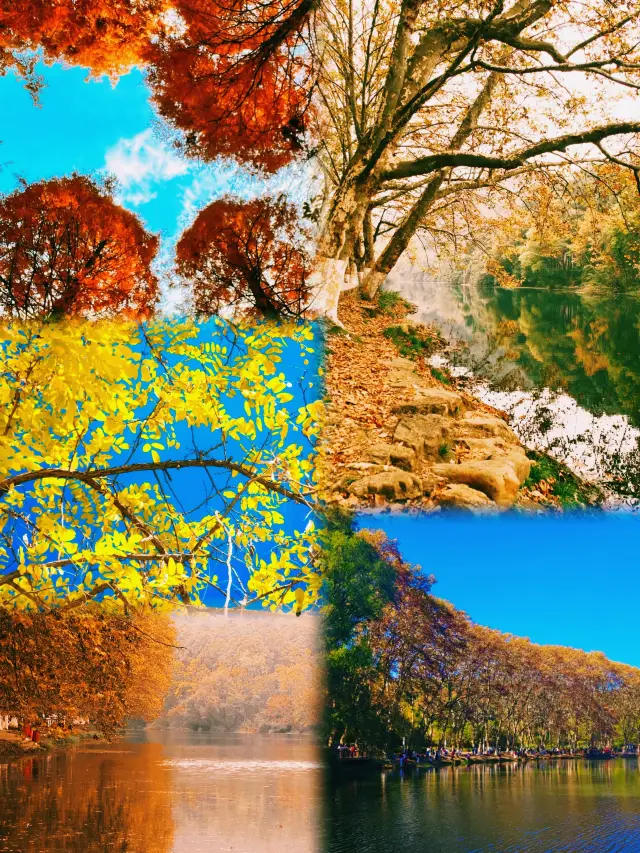 個人強烈推薦，去貴陽一定要去逛逛花溪公園