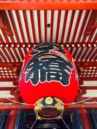 東京行程|淺草與上野一日遊