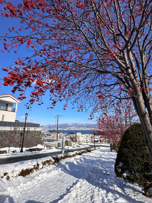 6日暢遊日本 盡享溫泉之旅