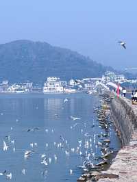 答應我！來蘇州一定要來西山島