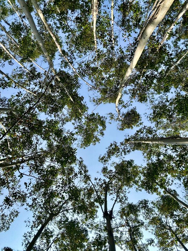 踏春踏青，大地回春，萬物復甦
