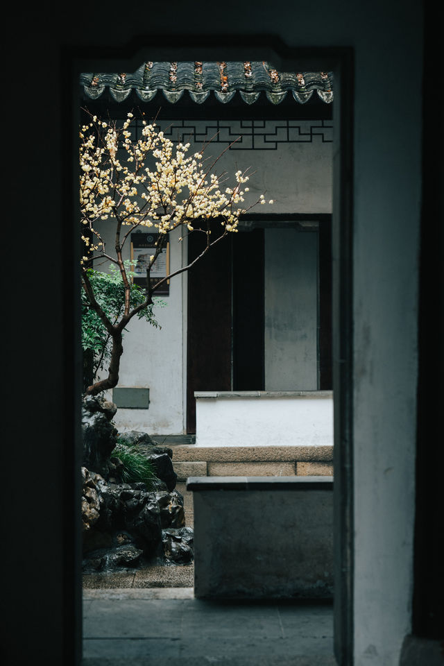 蘇州有個愛情園林春天真是美不勝收～