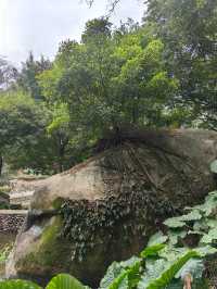 漳州市雲洞岩景區