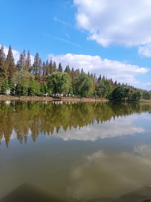 崇明島西沙濕地～一個畫一樣嘅地方