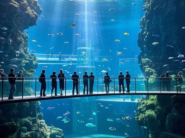鄭州海昌海洋公園：一場奇幻的海洋探險