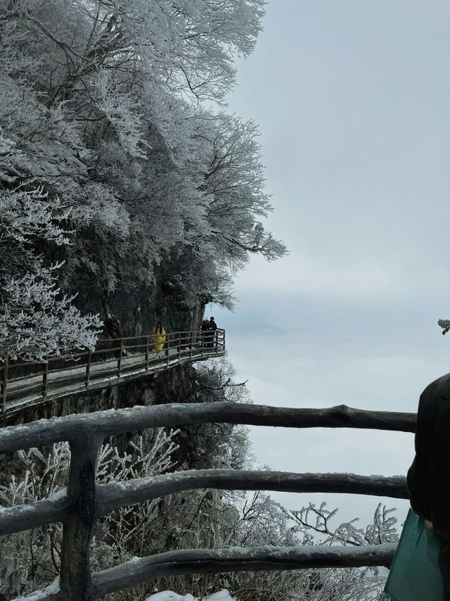 驚爆！龍頭山的美景，竟讓遊客不願返程