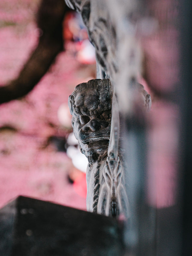 普安禪寺｜在溫州，我找到1300年前的春天