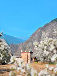 丹巴梨花 | 錯過等一年的川西絕景，這份指南請收藏