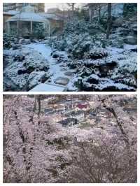 仙台：日本東北的浪漫之都