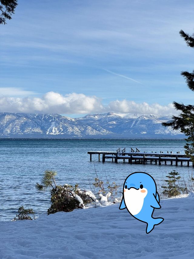 live Tahoe｜暴雪超絕氛圍感 雪季可太棒啦