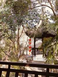 烏鎮－橫店深度遊，長者暢享古鎮古村風情