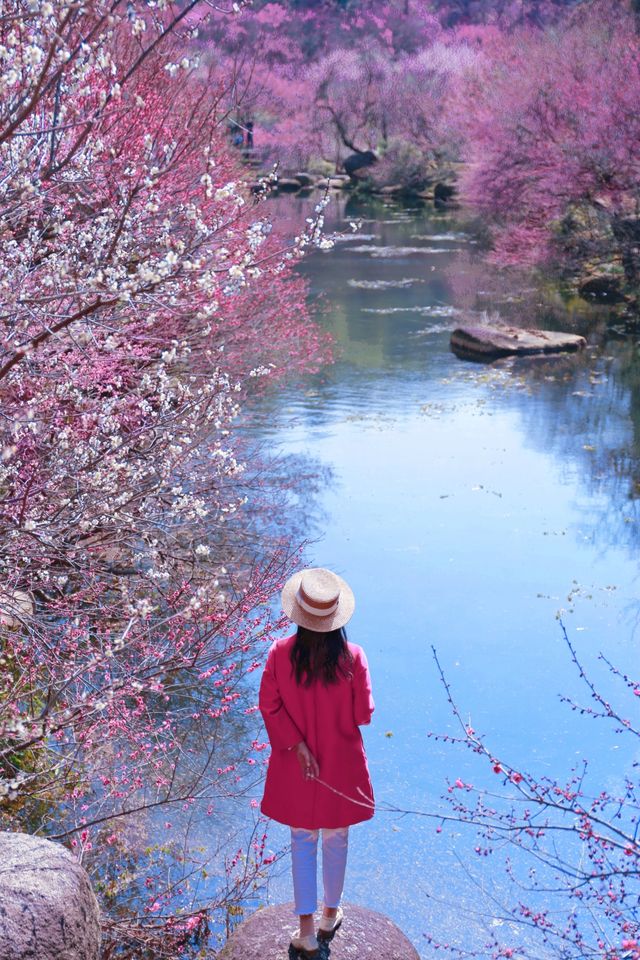 湖州水韻梅香，暢享仙境中的極致風流