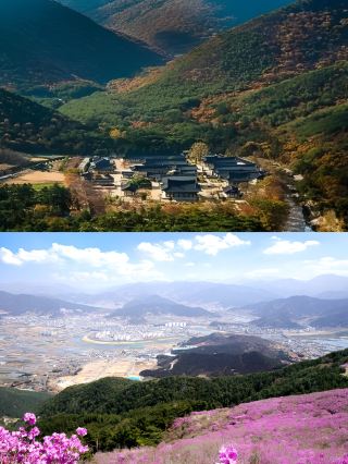 Miryang 2-Day Tour: The Ultimate Guide is Here!