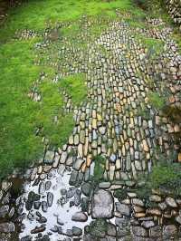 福建土樓-雲水謠2日遊 古鎮風情與建築美學一網打盡