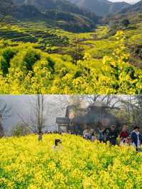 三月去邊度｜嚟婺源篁嶺，賞萬畝油菜花花海！