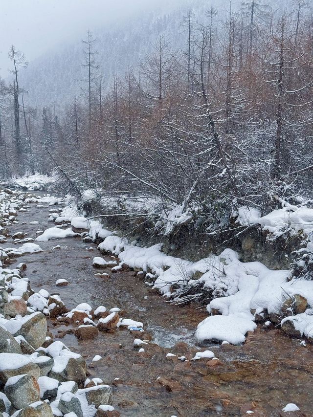 2日探秘理縣 自然山水驚艷之旅