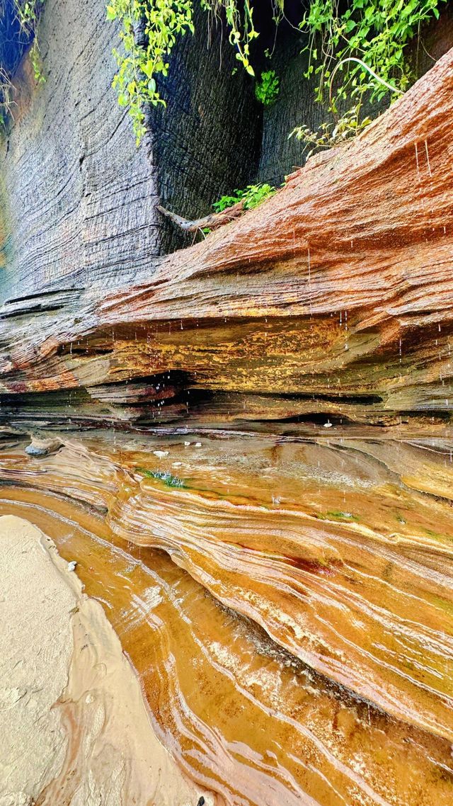 涠洲島嘅美食，可以同廣西其他地方媲美嗎？
