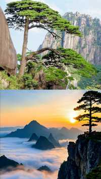 一生總要去一趟黃山吧，赴一場與山河的浪漫之約