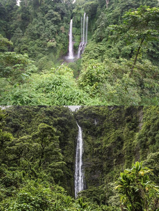 澳洲9天暢遊 玩出新高度必看攻略