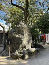 住吉神社與周邊景點一日遊：福岡的信仰與自然探索⛩️🌳