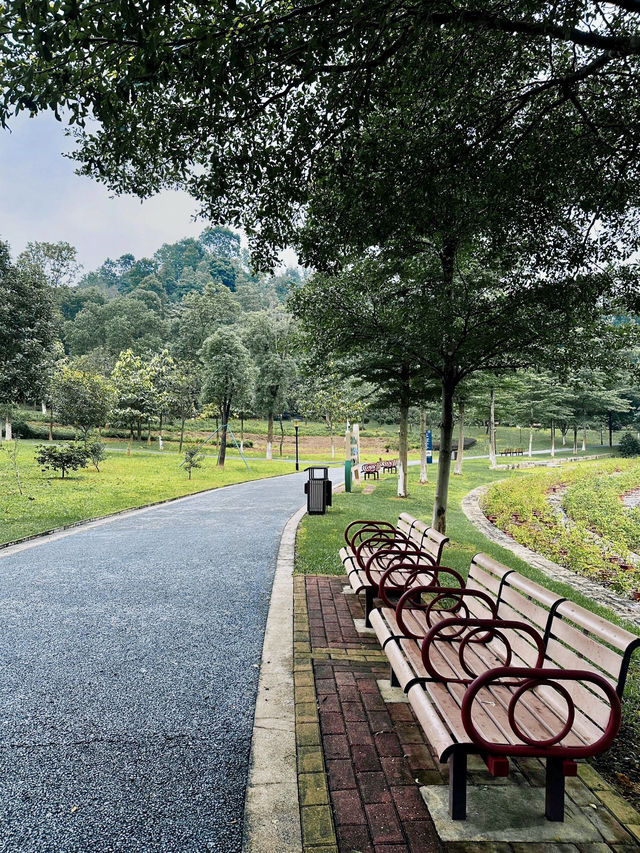 東莞植物園 帶你認識從未見過的各種各樣植物新生命