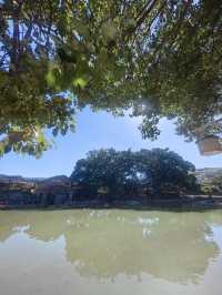 漳州1日遊 玩轉全城不回頭