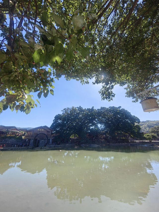 漳州1日遊 玩轉全城不回頭