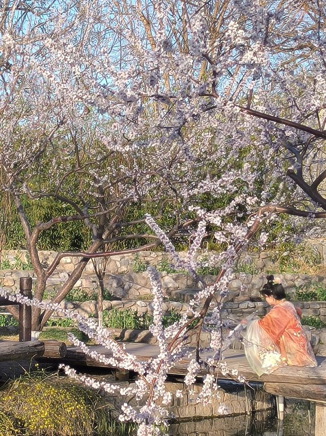 三里河公園！明年我一定會再來！