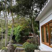 🍵深圳新晉擺爛聖地 | 筆架山公園茶館✨