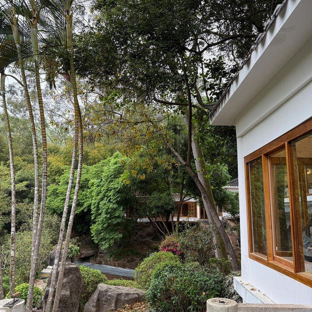🍵深圳新晉擺爛聖地 | 筆架山公園茶館✨